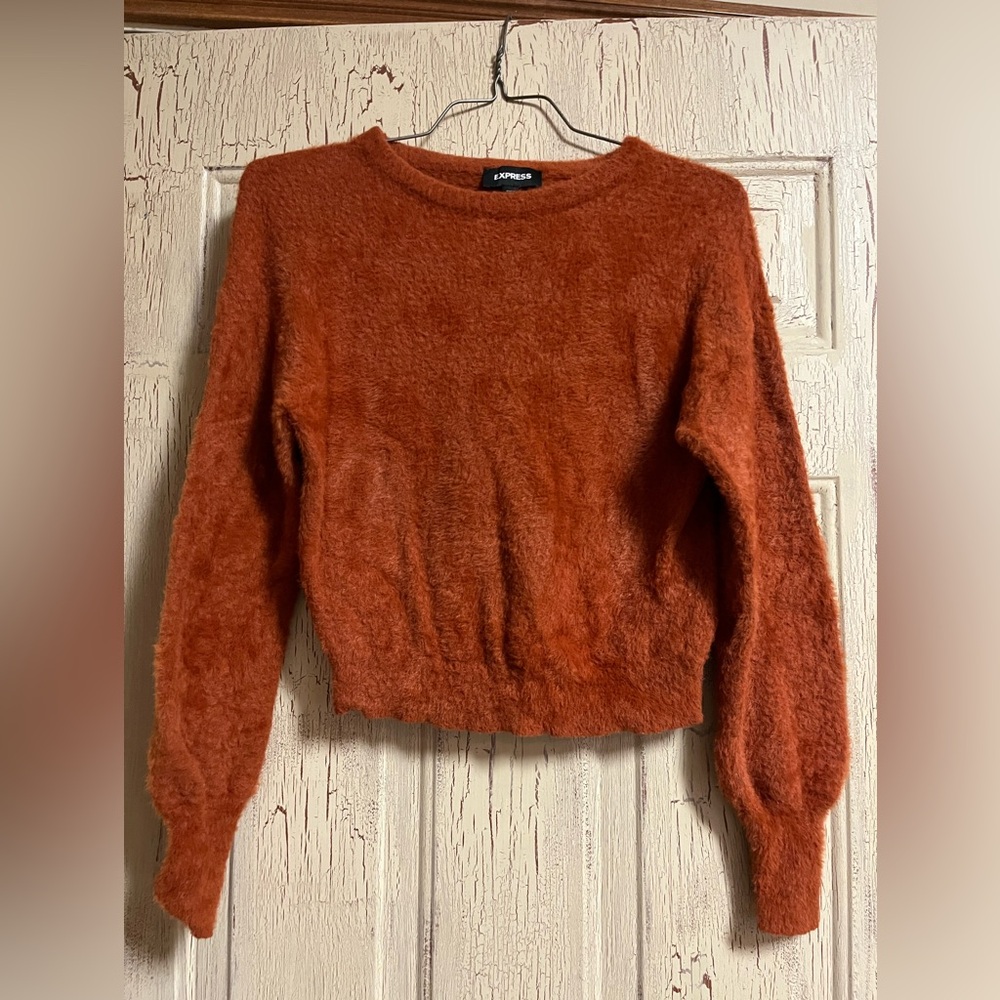 Express Warm Rust Crew Neck Sweater
